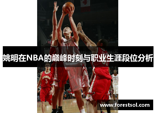 姚明在NBA的巅峰时刻与职业生涯段位分析