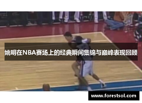 姚明在NBA赛场上的经典瞬间集锦与巅峰表现回顾