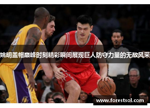 姚明盖帽巅峰时刻精彩瞬间展现巨人防守力量的无敌风采