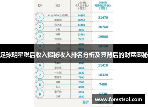 足球明星税后收入揭秘收入排名分析及其背后的财富奥秘