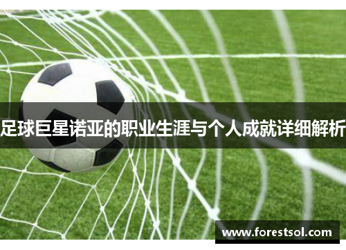 足球巨星诺亚的职业生涯与个人成就详细解析