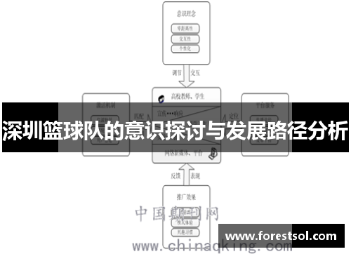 深圳篮球队的意识探讨与发展路径分析