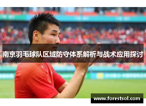南京羽毛球队区域防守体系解析与战术应用探讨