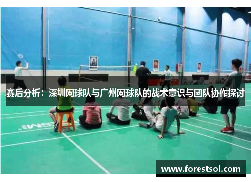 赛后分析：深圳网球队与广州网球队的战术意识与团队协作探讨