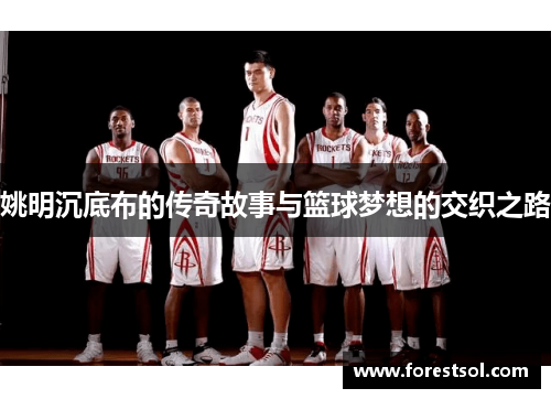 姚明沉底布的传奇故事与篮球梦想的交织之路