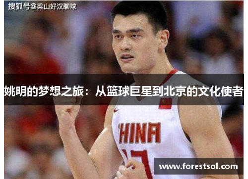 姚明的梦想之旅：从篮球巨星到北京的文化使者