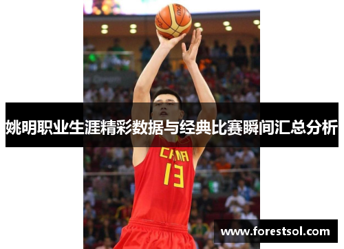 姚明职业生涯精彩数据与经典比赛瞬间汇总分析