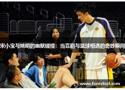宋小宝与姚明的幽默碰撞：当喜剧与篮球相遇的奇妙瞬间