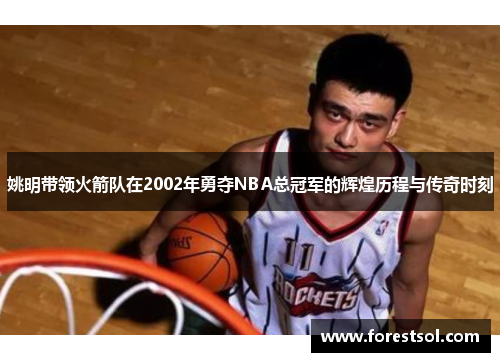 姚明带领火箭队在2002年勇夺NBA总冠军的辉煌历程与传奇时刻