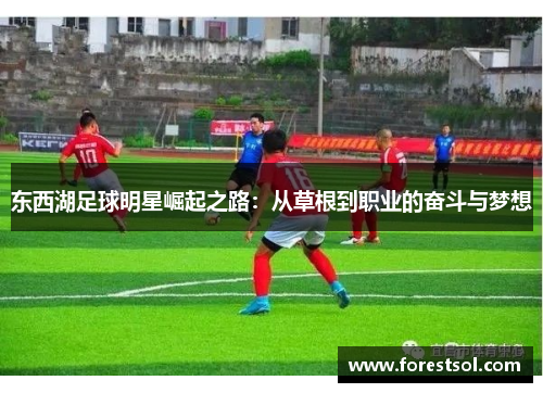 东西湖足球明星崛起之路：从草根到职业的奋斗与梦想