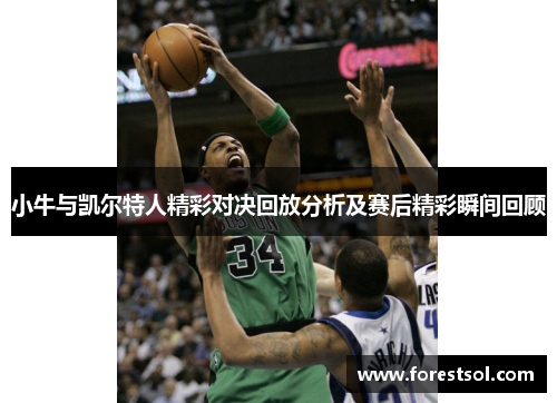 小牛与凯尔特人精彩对决回放分析及赛后精彩瞬间回顾